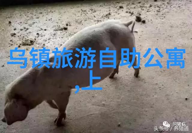 探索未知我的异域游记