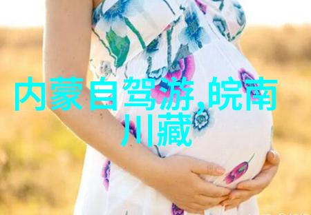 中国旅游数据网 - 数字化足迹如何利用中国旅游数据网优化旅行计划