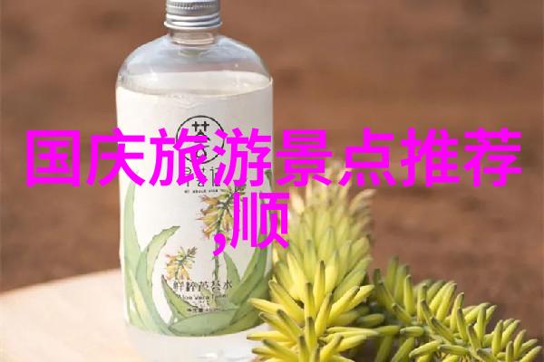 野外生存技能成人户外活动策划的必备知识