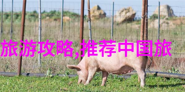 迷失在长城的脚步声