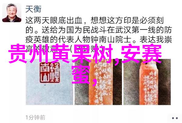 历史遗迹漫步跟随国际旅游团重走古道热血足迹