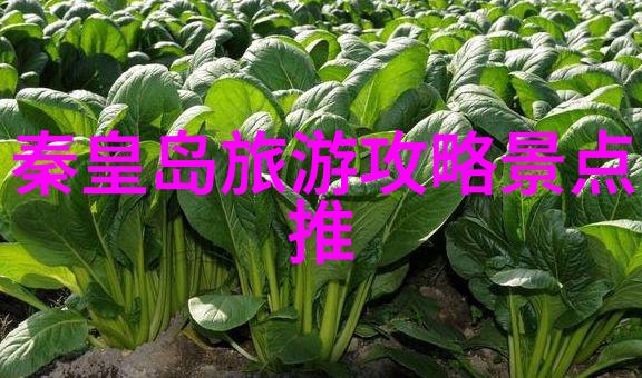 北京必去小吃街我要带你去尝鲜那些让人回味无穷的美食秘密基地