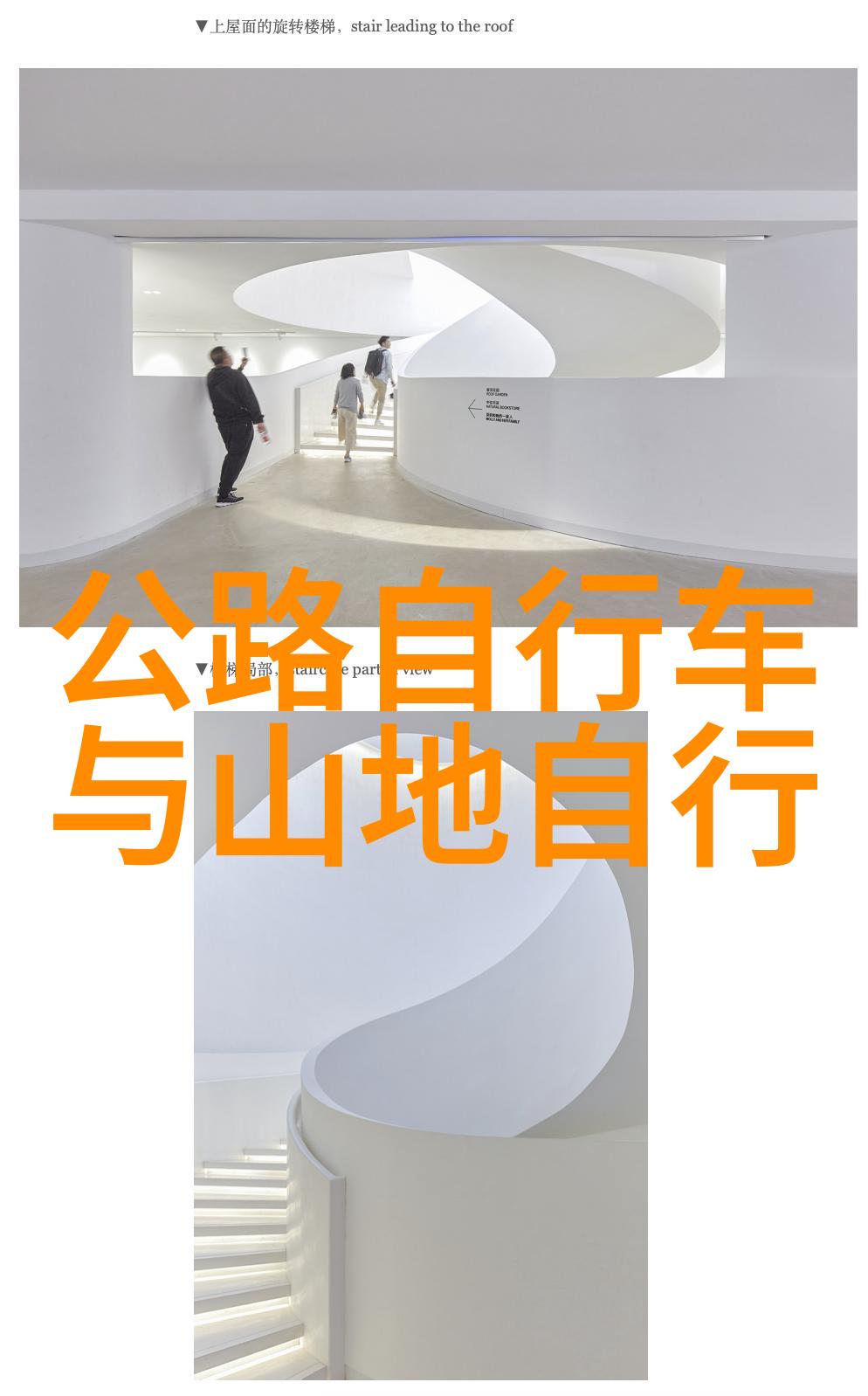 我们应该如何对待那些提供青春环游记第三季免费观看链接的人