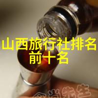 海外之旅的诱惑与安全考量现在是出国旅游的好时机吗