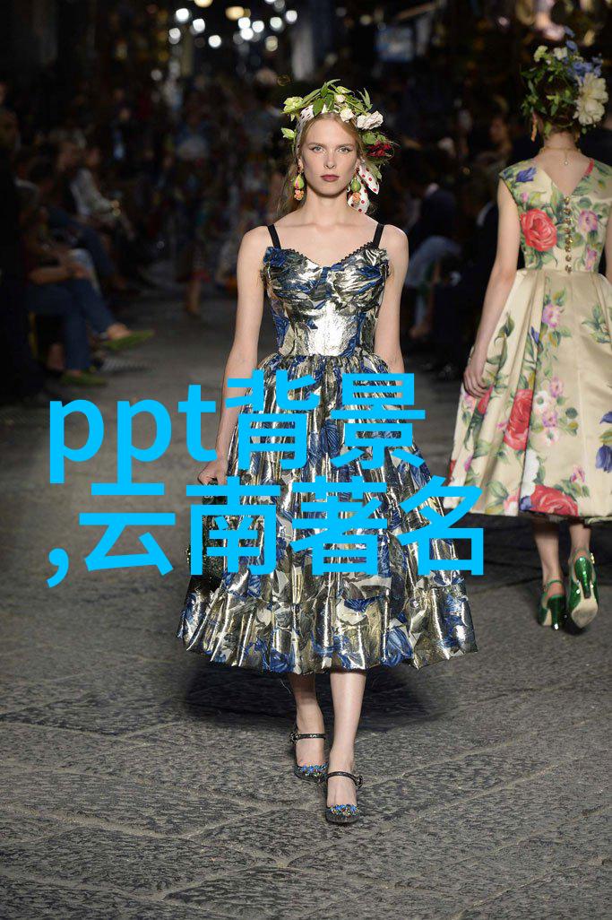 骑行速度挑战一小时二十公里的快慢标准高效骑行技巧与体能训练