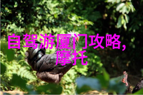 贵州自驾游之旅广州出发可一日双飞翼