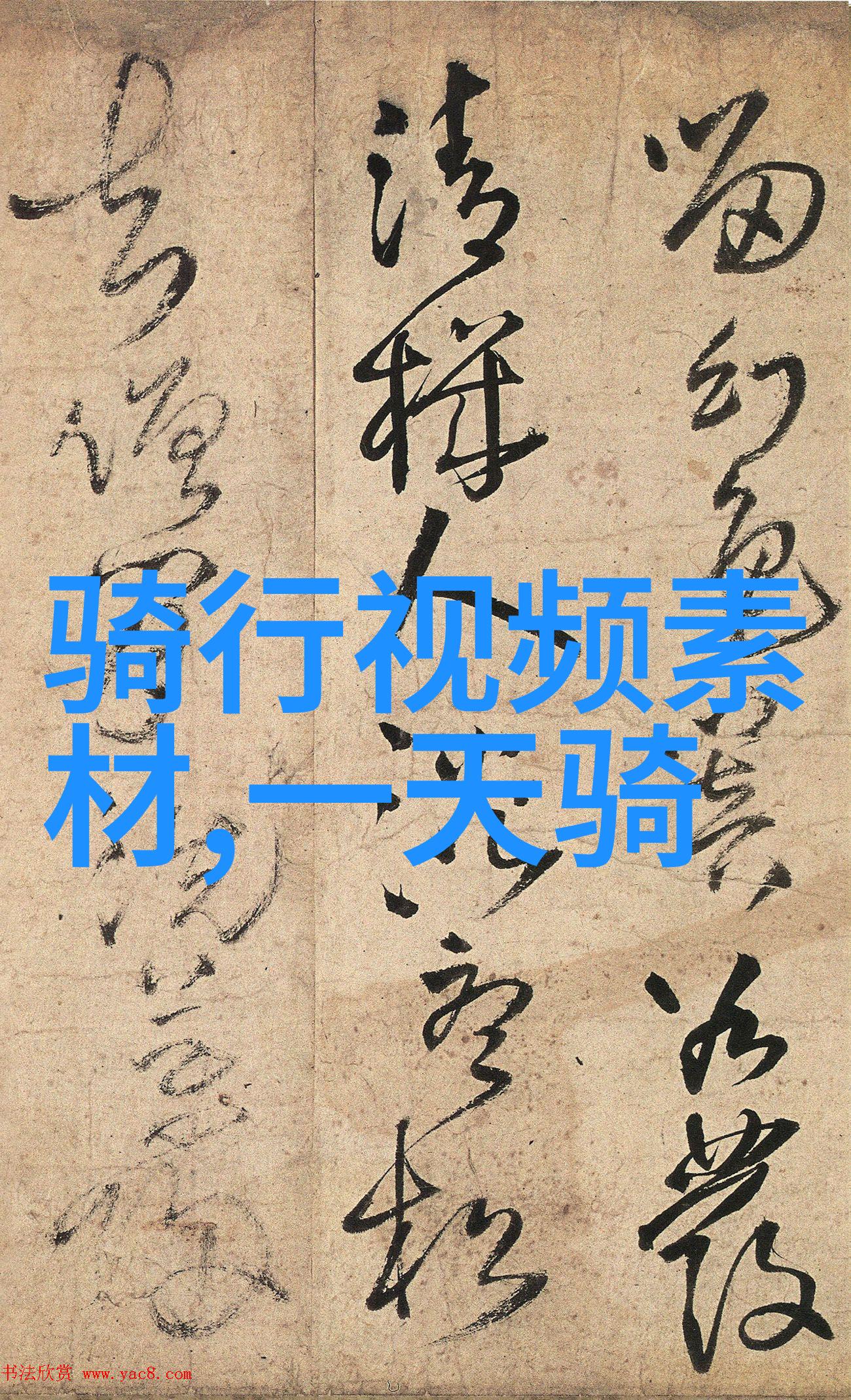 自行车论坛我的骑行日记从初学者到自在骑士