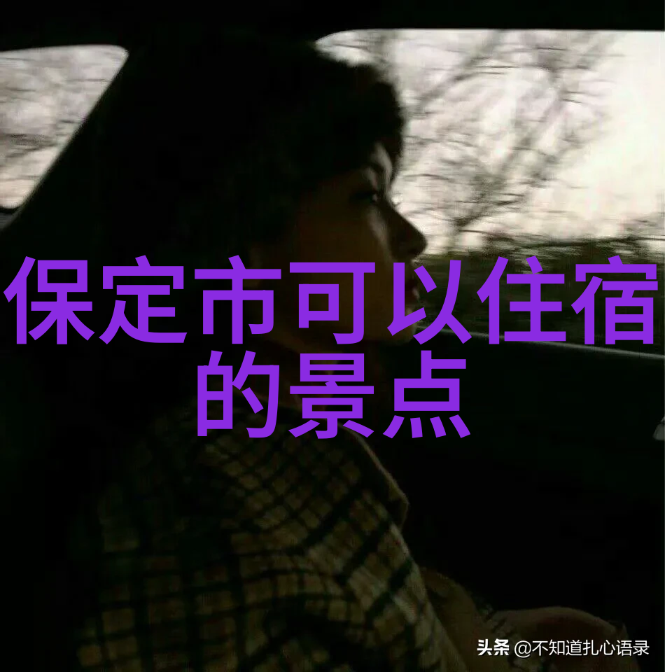 在游记中徐霞客对自然景观的描写有什么特点