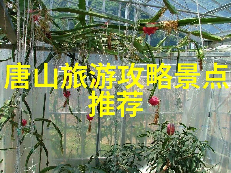 六盘山国家森林公园住宿我在六盘山的夜晚寻找那片星空下的避风港