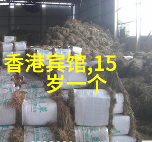 白莲艳史我的心中那朵永远未开的花儿