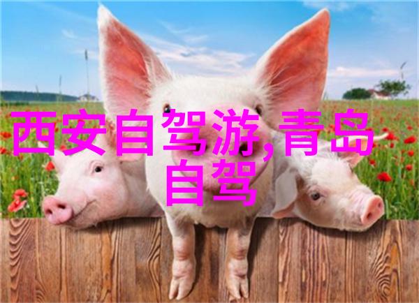 全国有名的小吃街有哪些-探秘中国美食宝库全国十大小吃街之旅