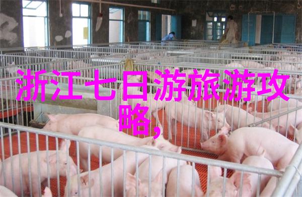 杭州周边自驾游探秘西湖畔的美景龙井茶乡的悠然