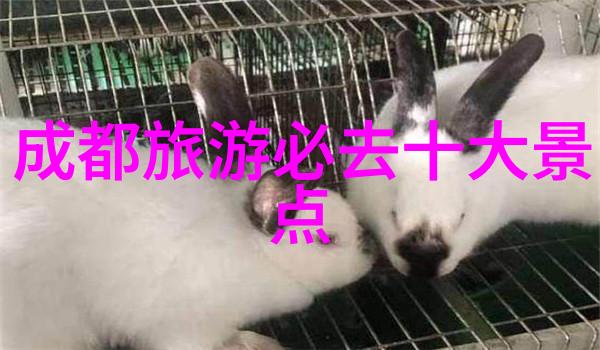 风味纷呈地球美食之旅
