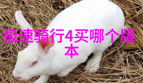 重庆成都旅游自由行攻略研究探索四川文化与自然之美的路径选择与体验优化