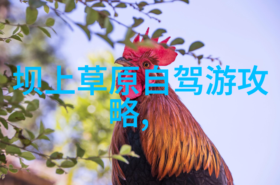 品味京菜风情北京小吃一条街的经典选择
