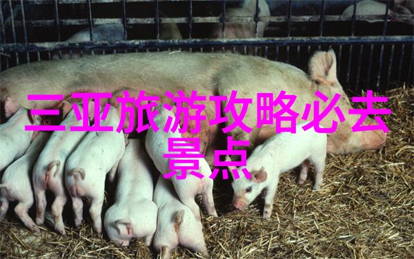 太原旅游必去十大景点推荐 - 慧眼识宝揭秘山西首府的文化古迹与现代魅力