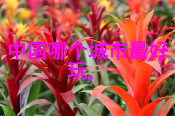 探秘旅途佳选哪款旅游App能让你的旅行更精彩