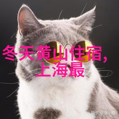 云南的美景在等待着你像一位温柔的旅伴在黄金周也能轻松享受人少景秀的秘境