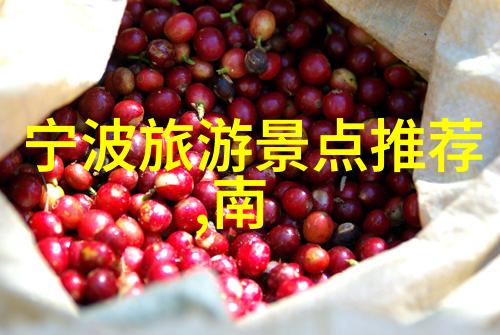除了自行车管理外77bike折合车之家app还有哪些附加服务或工具值得一提