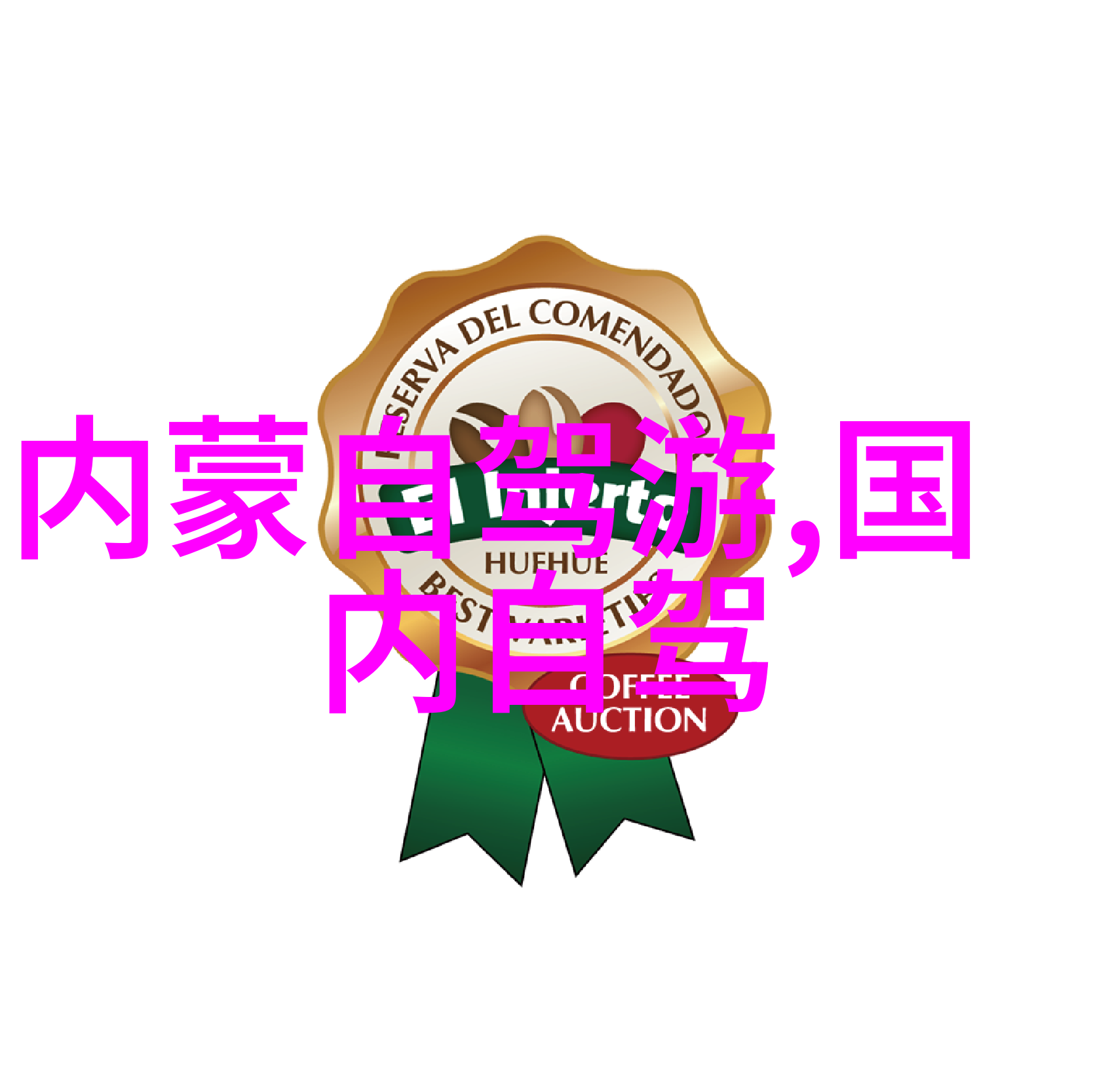 未来战士训练营  探讨科技与传统文化融合下的教育新方向