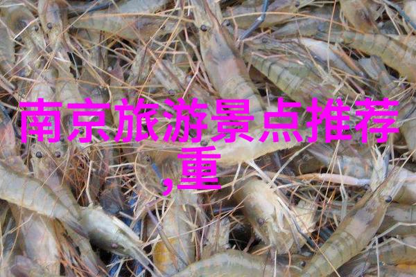 青岛住宿攻略海边我在青岛的海滩度假住得舒服玩得尽