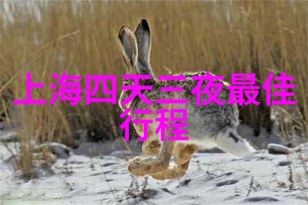 云南之旅速览3天游云南必看景点与经典行程