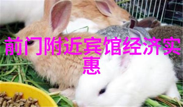 探秘衡山奇境登高望远的旅途指南