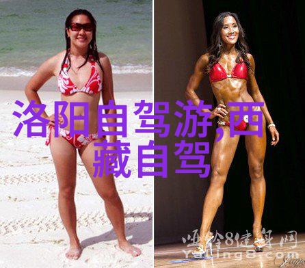 骑自行车还是跑步哪个更适合我们的健康之旅