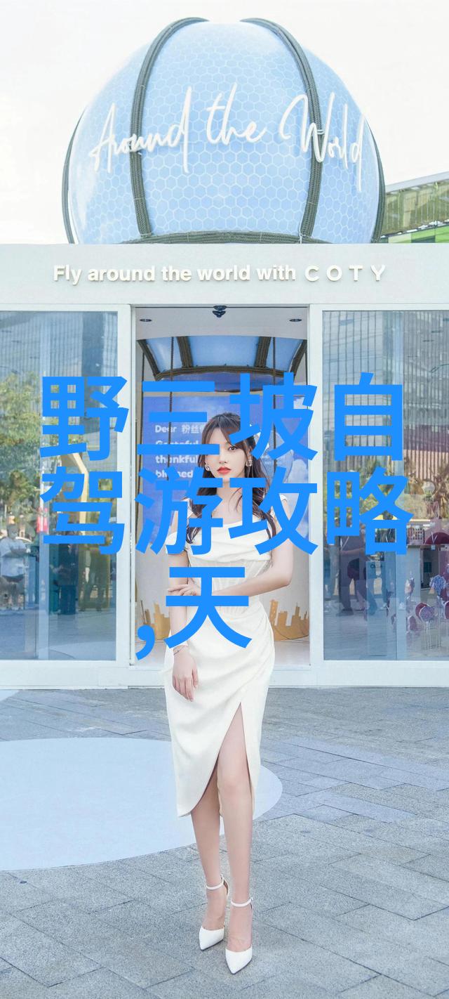 远方的脚步探索适合出国的国家