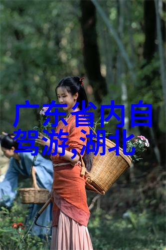 初二生探秘古都800字游记回忆录