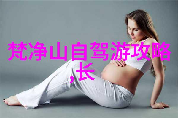 探索中国特色美食从宫廷佳肴到街头小吃的魅力
