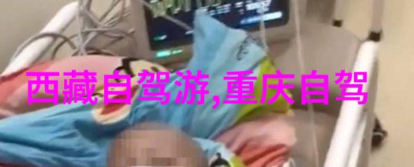 只为那一刻与你相见小说-时光的交响只为那一刻与你的故事