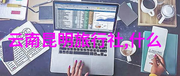 山巅之战儿童体育探索新篇章
