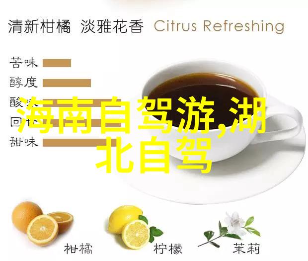 中国出行梦踏碎边界启程新旅途