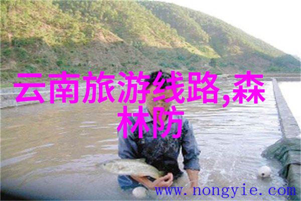 中国旅游最新消息你想知道最近出国游的新规吗