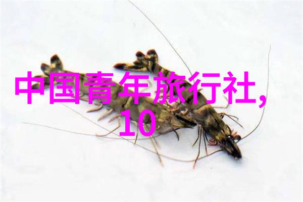 30人暖场小游戏精选团队协作与笑声共融