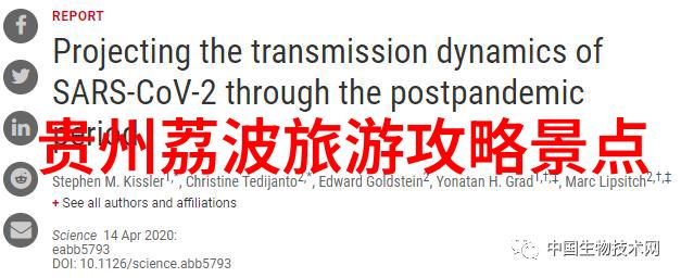 自驾游地图查询系统精确导航规划工具