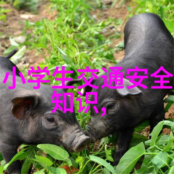 贵州黄果树瀑布天然奇观的生动画面