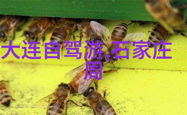 全国有名的小吃街有哪些-探索中国美食的街头故事全国十大小吃街不容错过