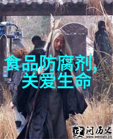 从校园到大地我的四年级生涯游历记录