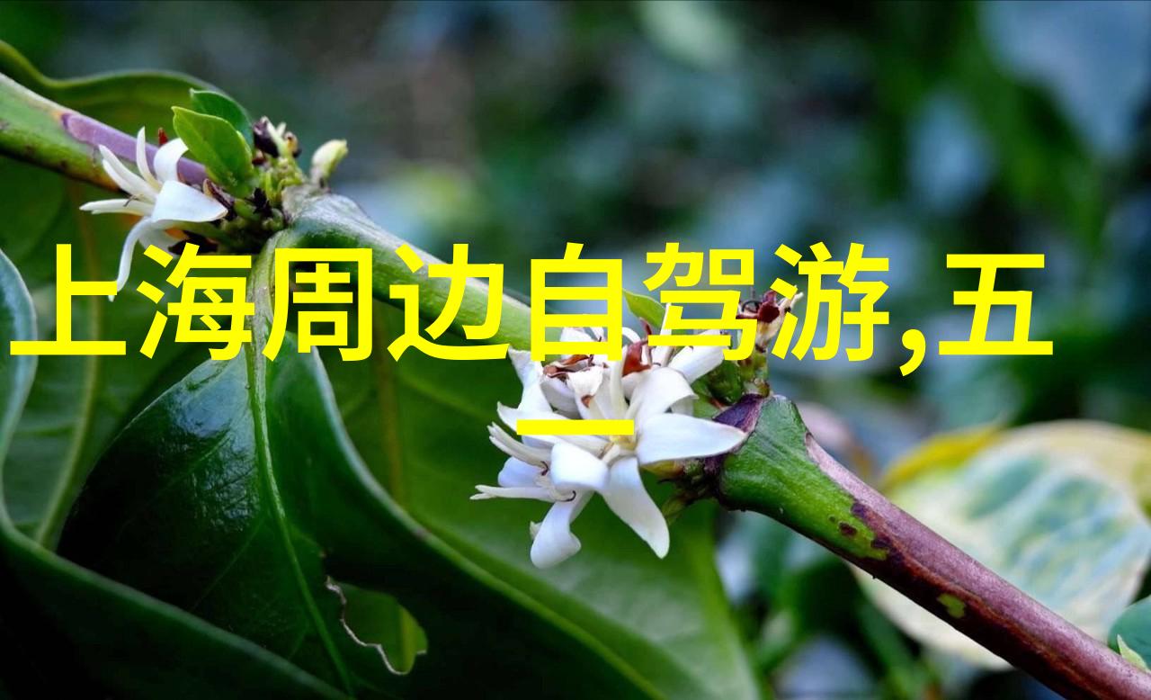 逆袭云南从喧嚣都市到静谧大地的10天奇幻之旅
