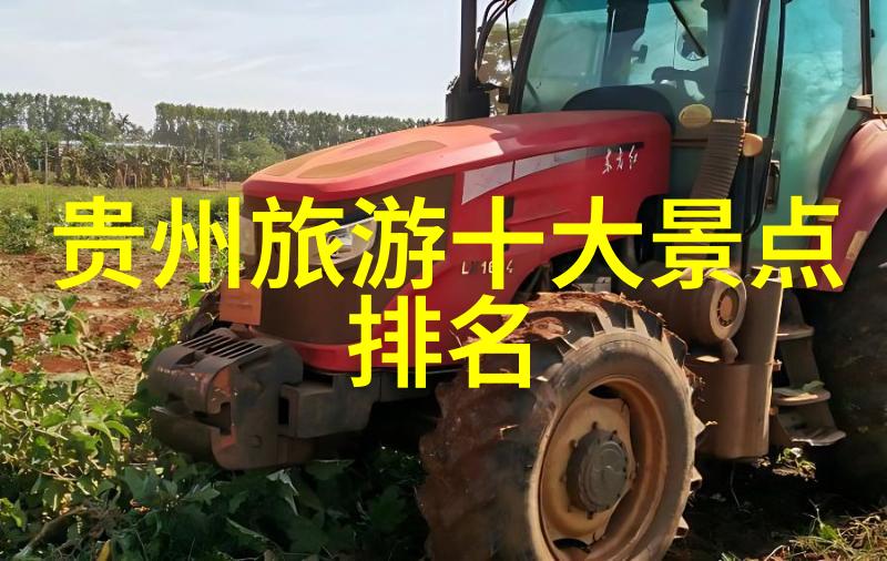 泉州悠然行探索历史足迹领略海韵风情的自由行攻略