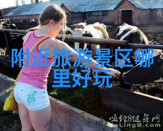 主题-徐霞客漫游录探索江南奇观