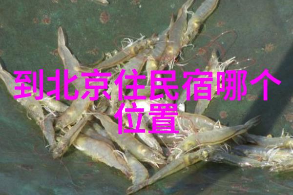探幽寻奇徐霞客的江南游记