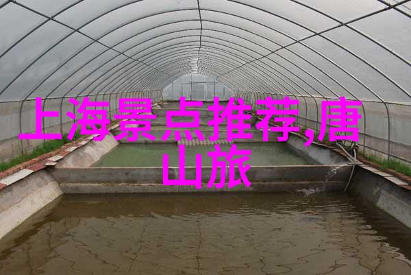 浪漫蜜月之选情侣专享旅游攻略与优惠推荐