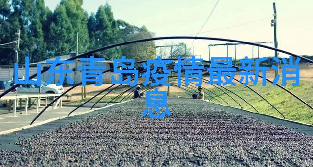 公司团队建设激发潜能的共创盛宴