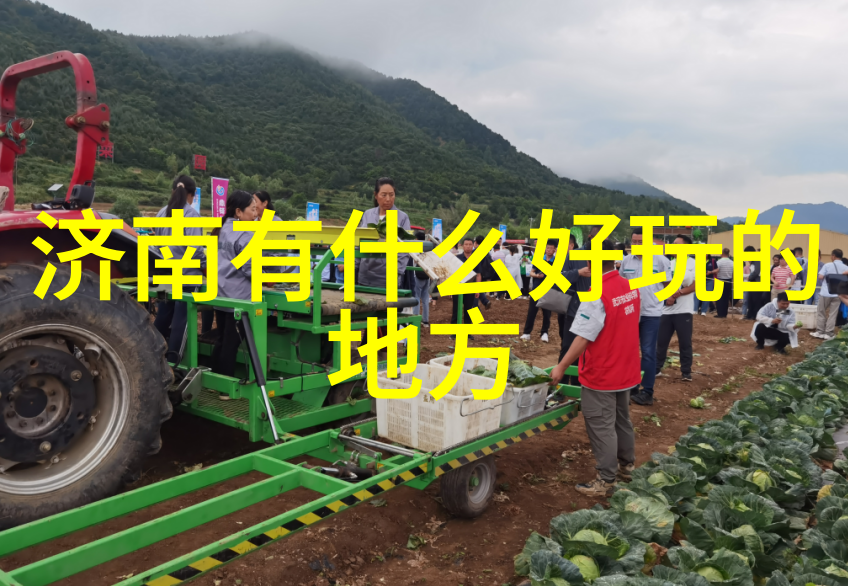 出国旅行选择靠谱旅行社海外游行程规划专业团队服务客户评价比较