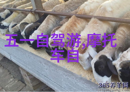 上海酒店我在上海的秘密花园一个偶然发现的小型酒店