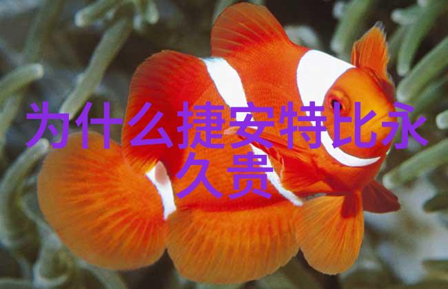 上海人气最旺的十大景点你必须去的那些热门好地方上海的十大必游景点