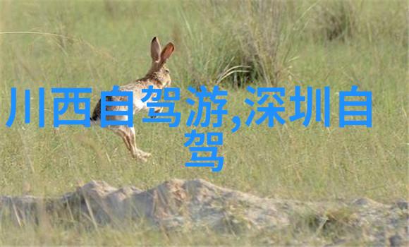 贵州美景探秘揭秘最值得一去的7大旅游胜地独特山水丰富文化